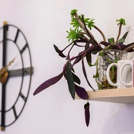 Al Centro 3* Агрідженто